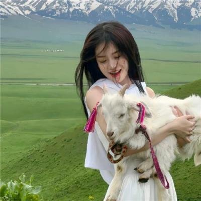 菜鸟总动员